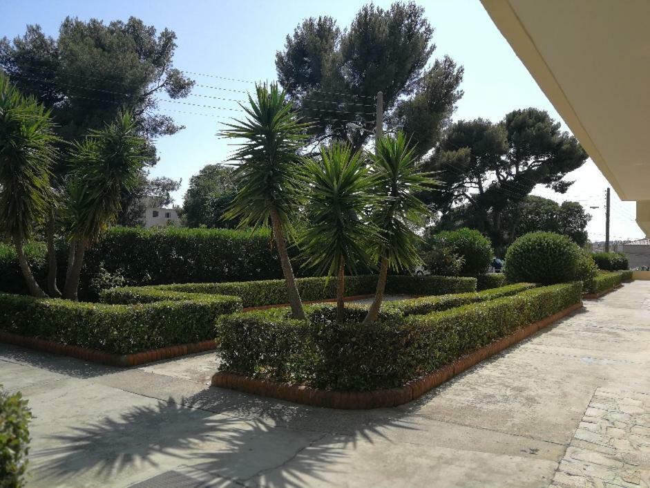 Appartement 2 Pieces Avec Balcon Toulon Exterior photo